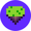 Pixels