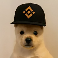 PUP (pupxbnb.com)