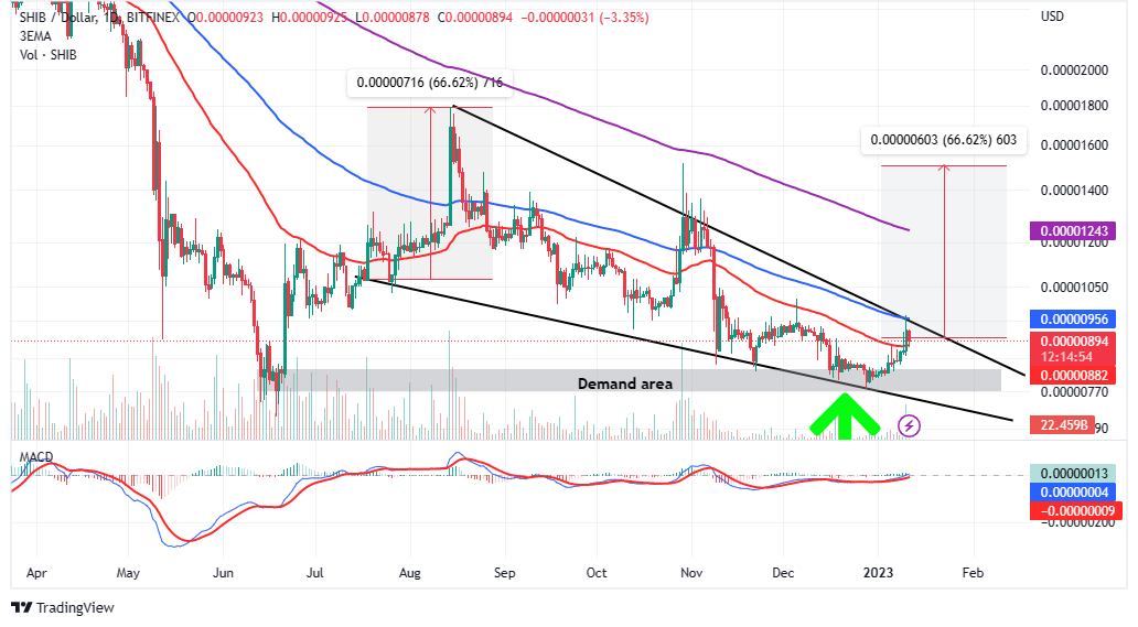 Shiba Inu Koers Verwachting - Kan Meme Coin Bull Run Gaande Houden en Kan Shiba Inu 1 euro Waard Worden?