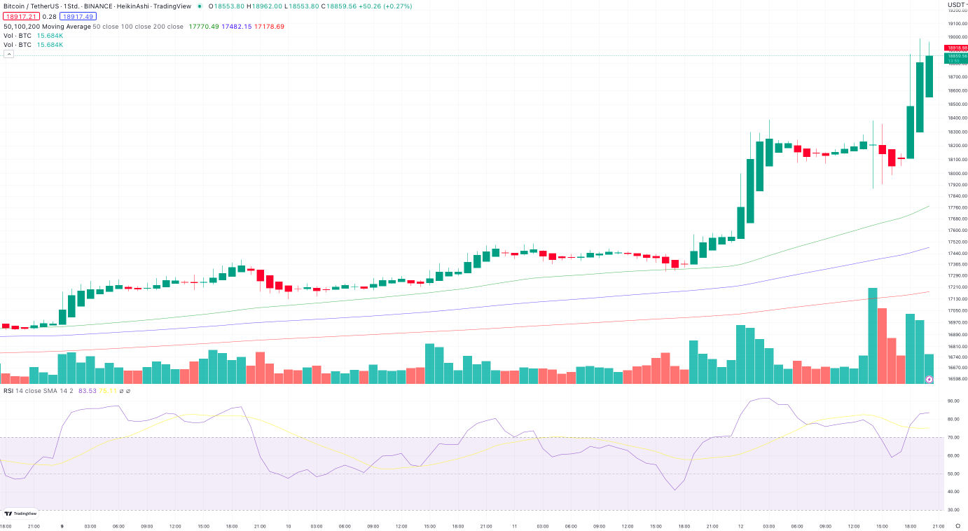 Bitcoin Stundenchart