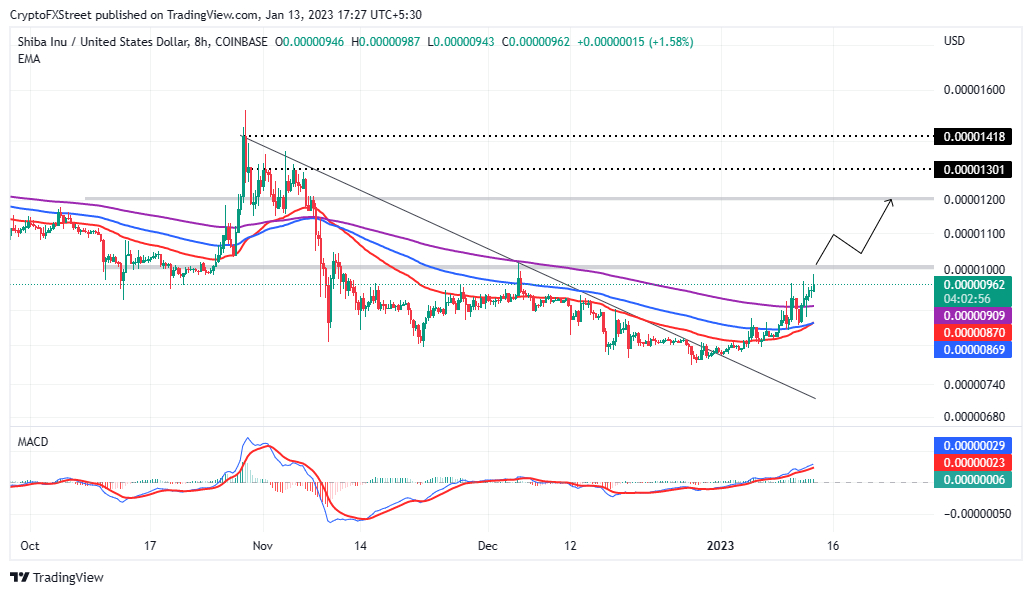 Shiba Inu Price Bullish