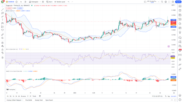 doge/usdt fiyat göstergesi