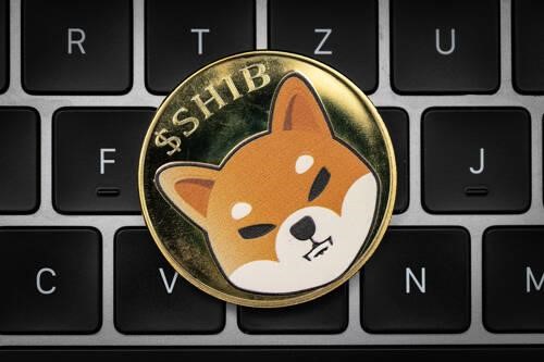 shiba inu shib token
