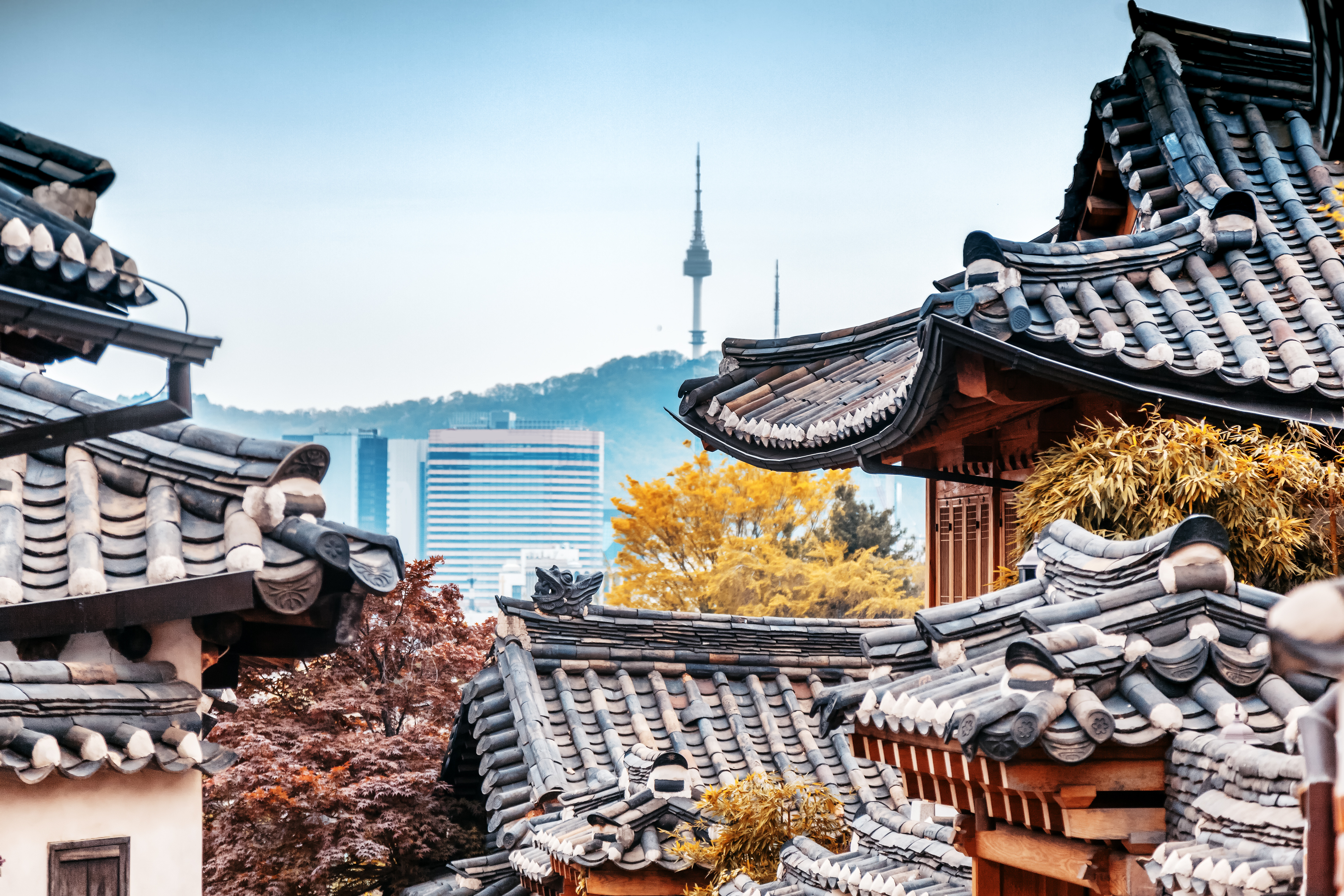 Регуляторы Южной Кореи собираются проводить проверки криптовалютных фирм