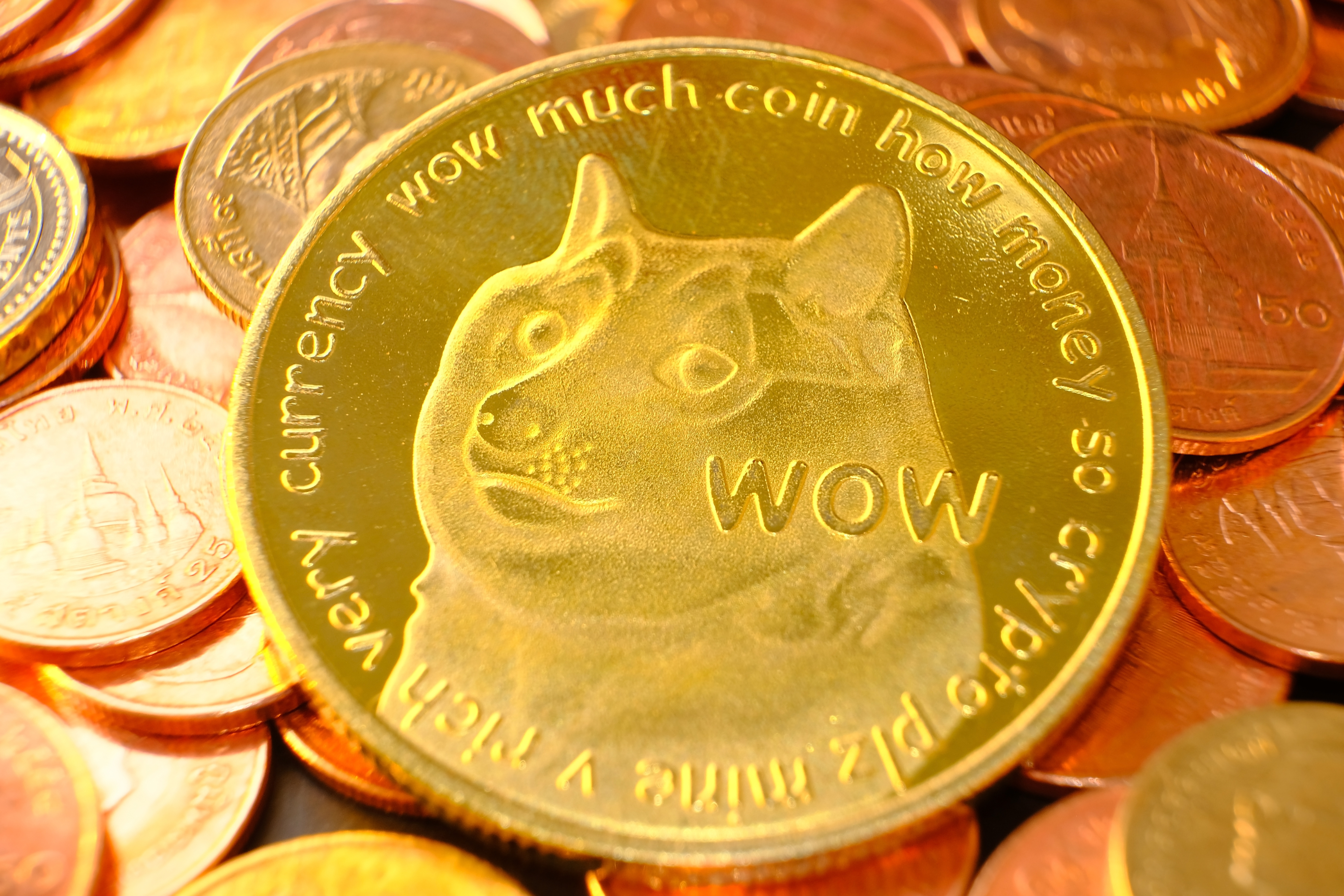 Dogecoin Price Prediction as DOGE Blasts Up 5% After $800 Million