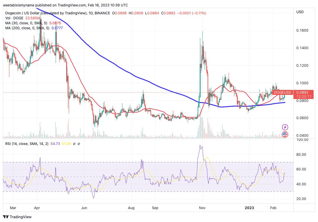 Dogecoin Price Prediction as Elon Musk Posts Photo of His Dog on