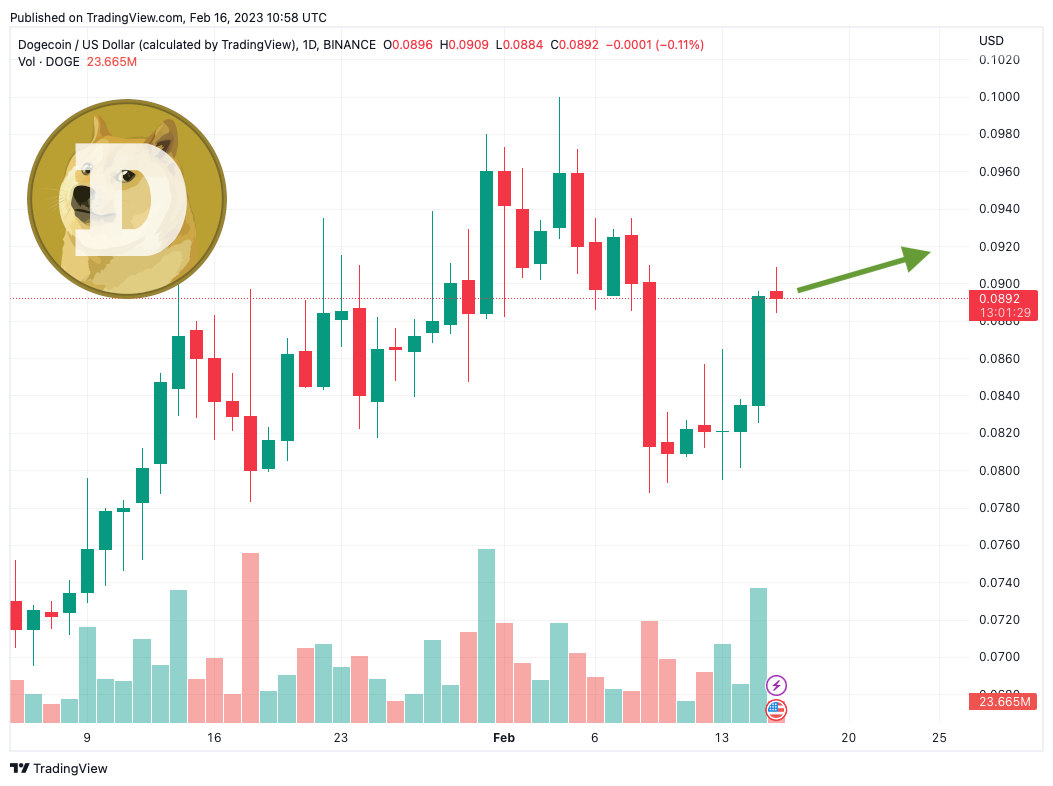 Dogecoin Price Prediction: Can DOGE Recover After Elon Musk Loses