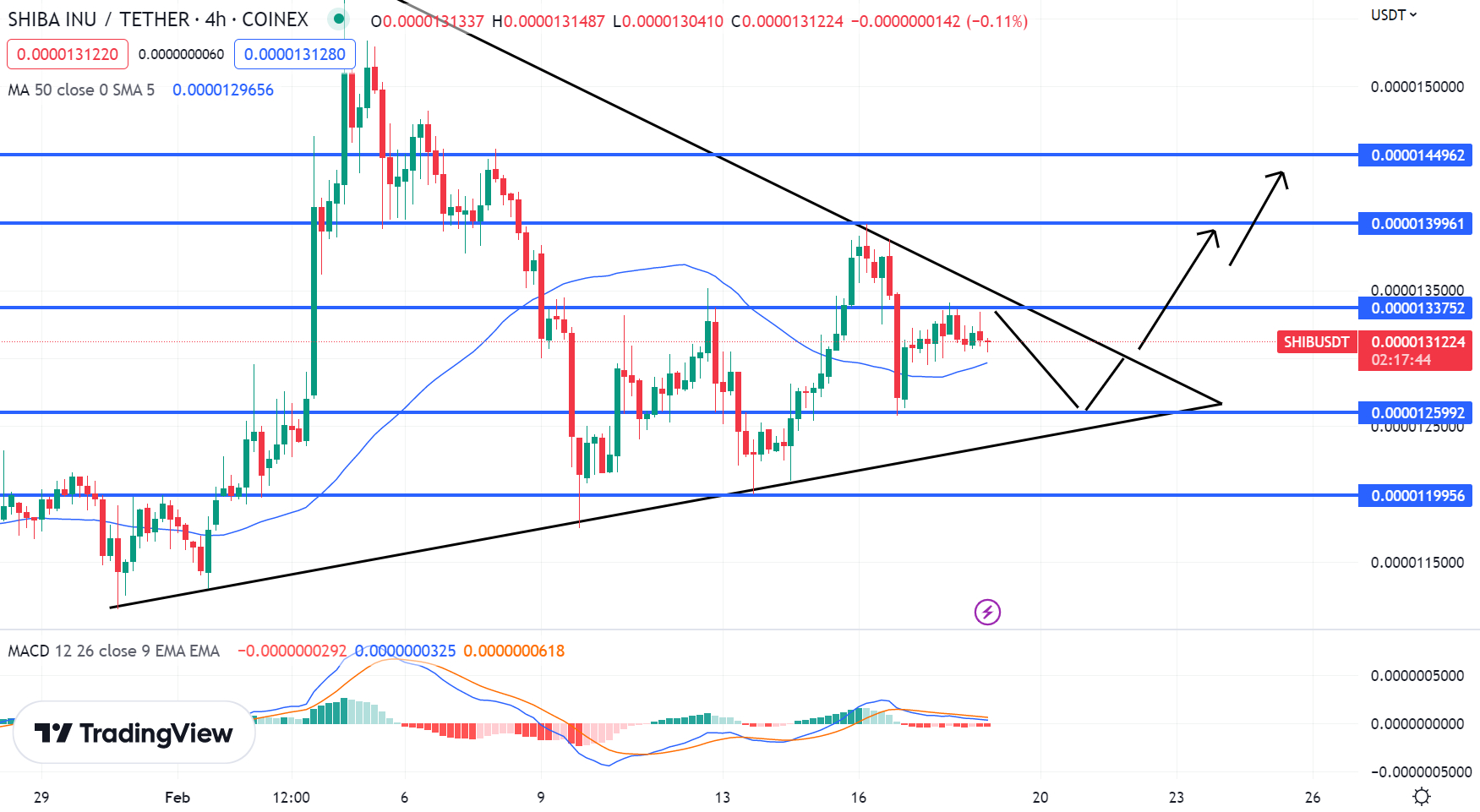 Объем биржевых торгов Shiba Inu пересек границу в $300 млн – прогноз курса  SHIB