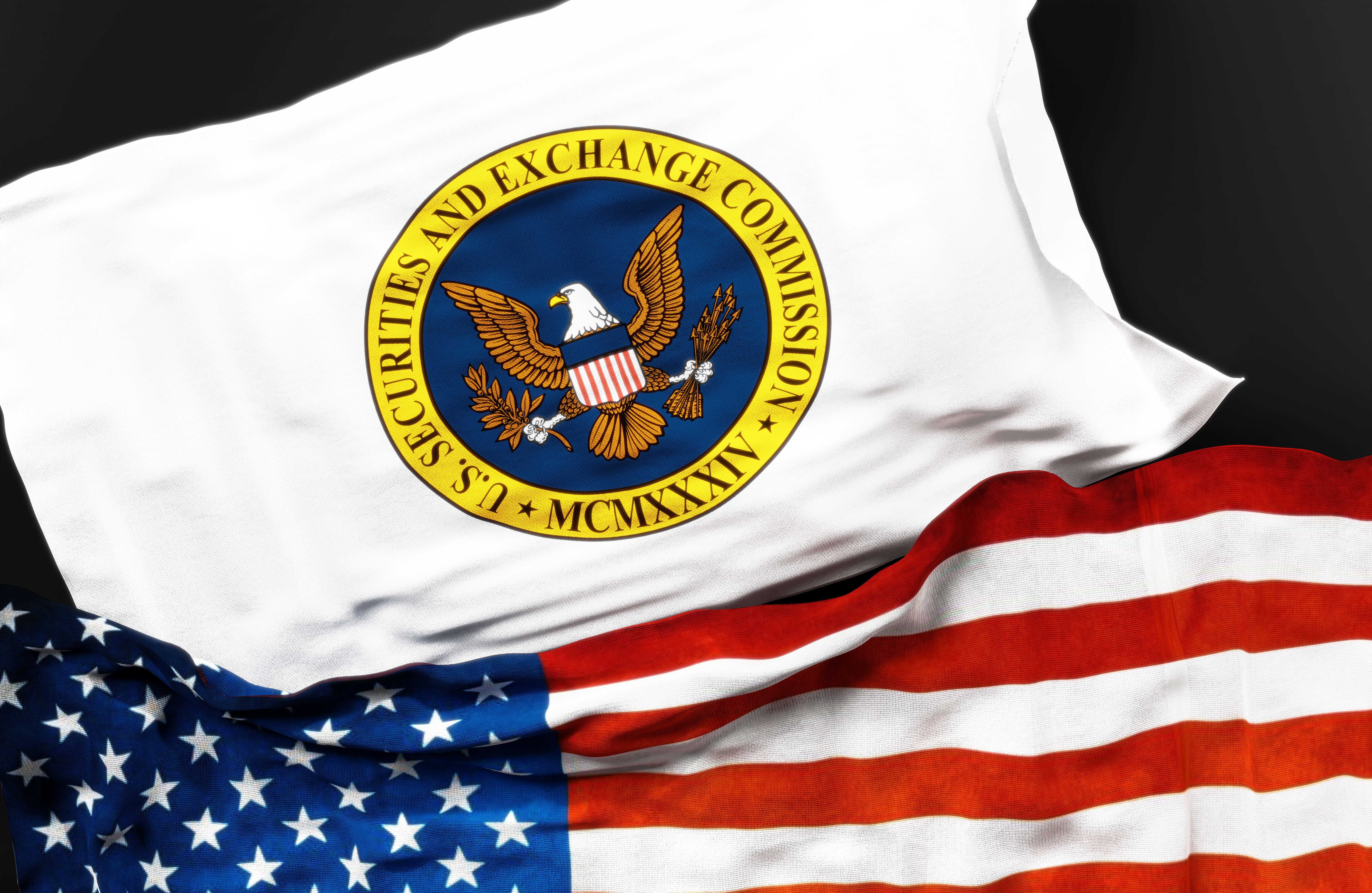 A flag of the United States Securities and Exchange Commission next to a flag of the United States of America.