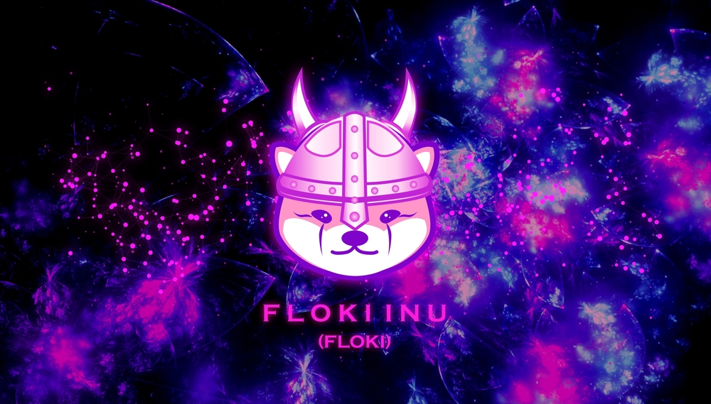 FLOKI in Galaxy