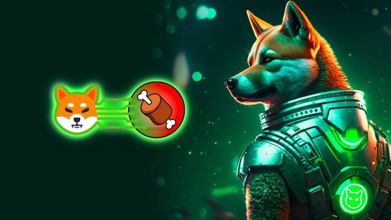 Krypto News: Irrer Hype um Shiba Inu Coin! „Shibarium“ startet – doch Betrüger reiben sich die Hände