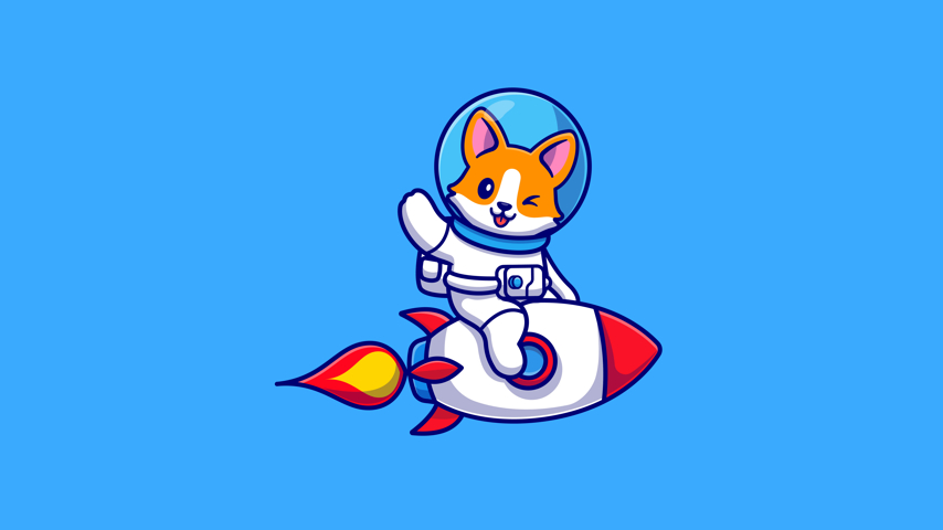 Doge flying a rocket stylized