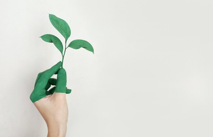 Top 5 Companies Pioneering Sustainable Bitcoin Mining