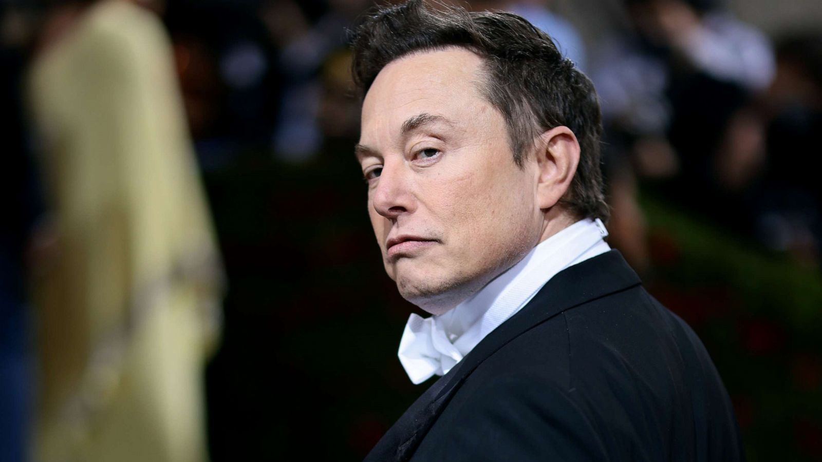 La communauté technologique est divisée par la pétition d’Elon Musk visant à arrêter le développement de l’IA