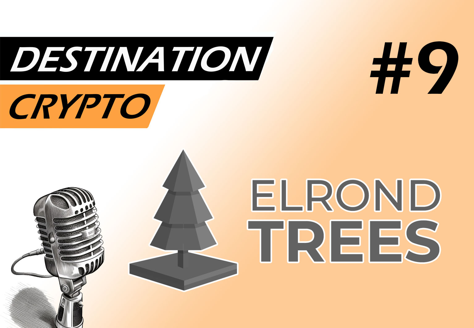 9# – Interview avec ELROND TREES | Combinaison de NFT, de gaming et d’écologie (podcast)