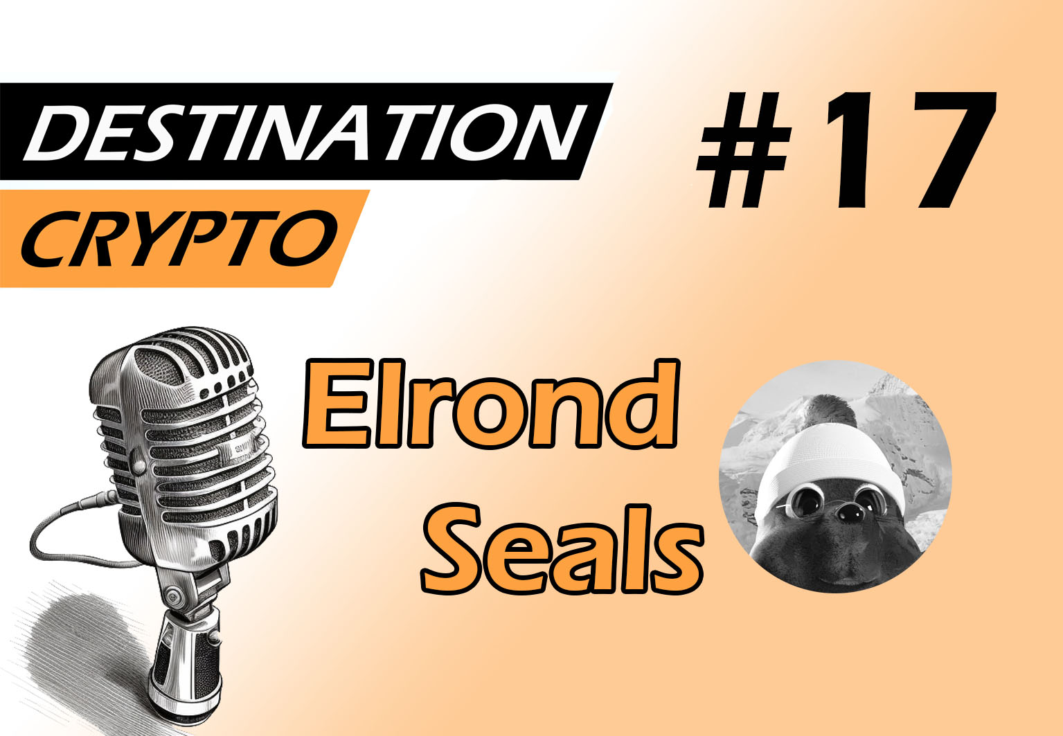 Destination Crypto - Interview avec ELROND SEALS