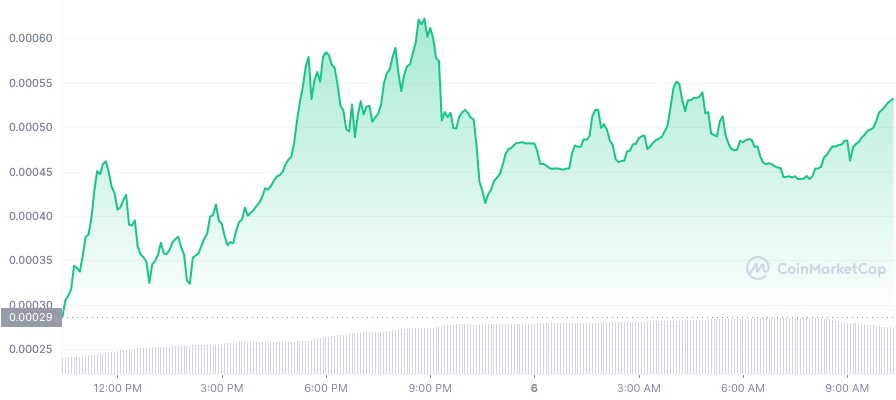 Kryptoeksperter: Ukendt krypto bliver den næste PEPE coin – hvad ved de?