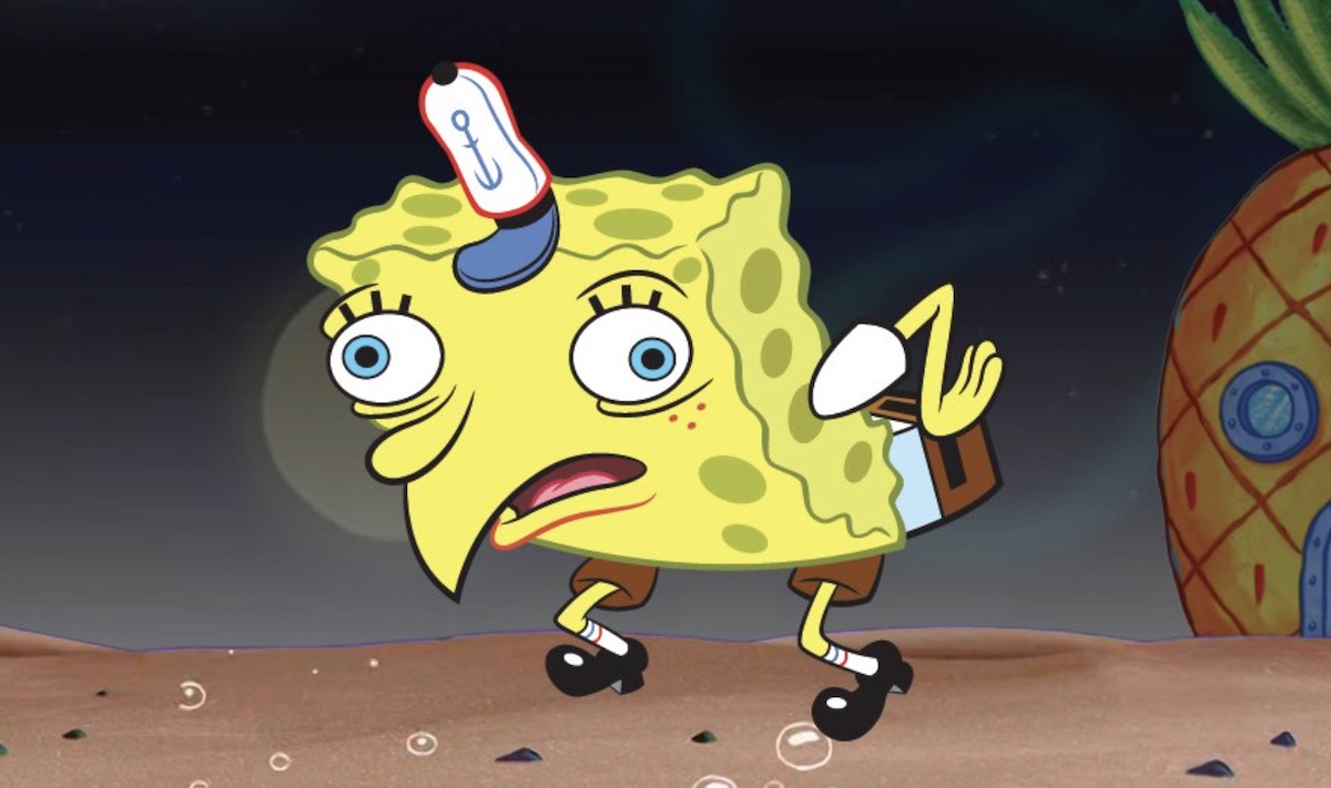 $SPONGE kaufen oder nicht Fazit – Unsere Empfehlung
