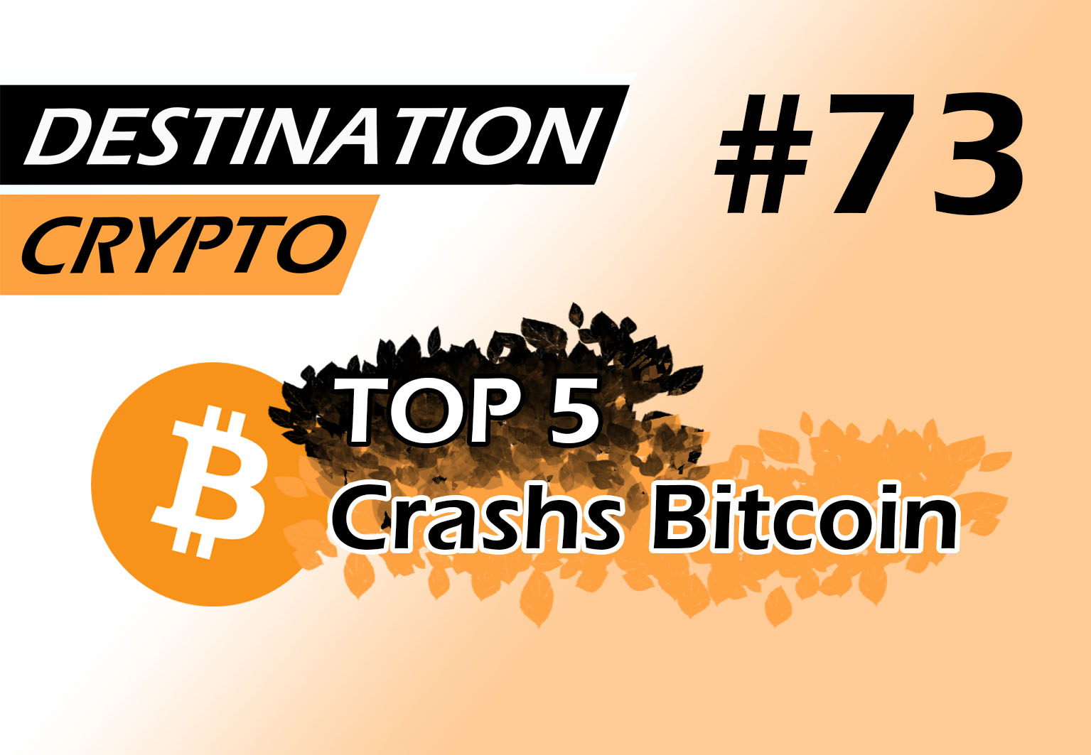 73# – TOP 5 des crashs Bitcoin | Les anticiper pour les transformer en opportunités (podcast)