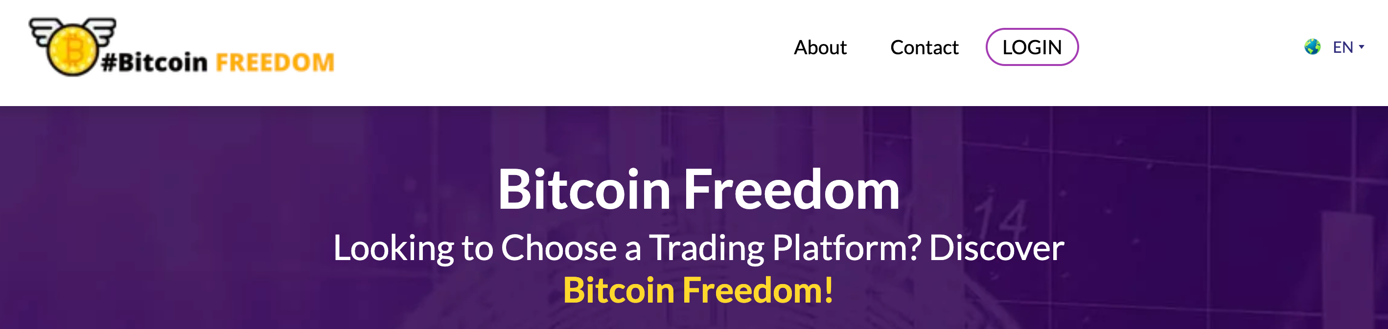 Bitcoin Freedom Review