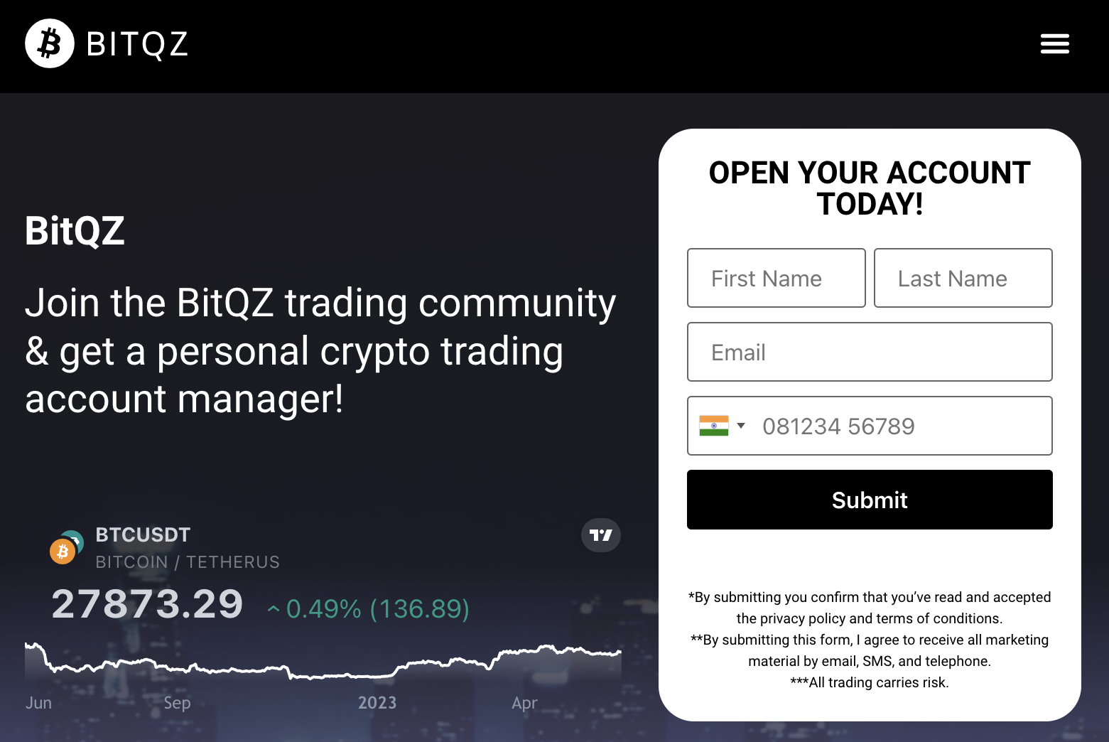 BitQZ review