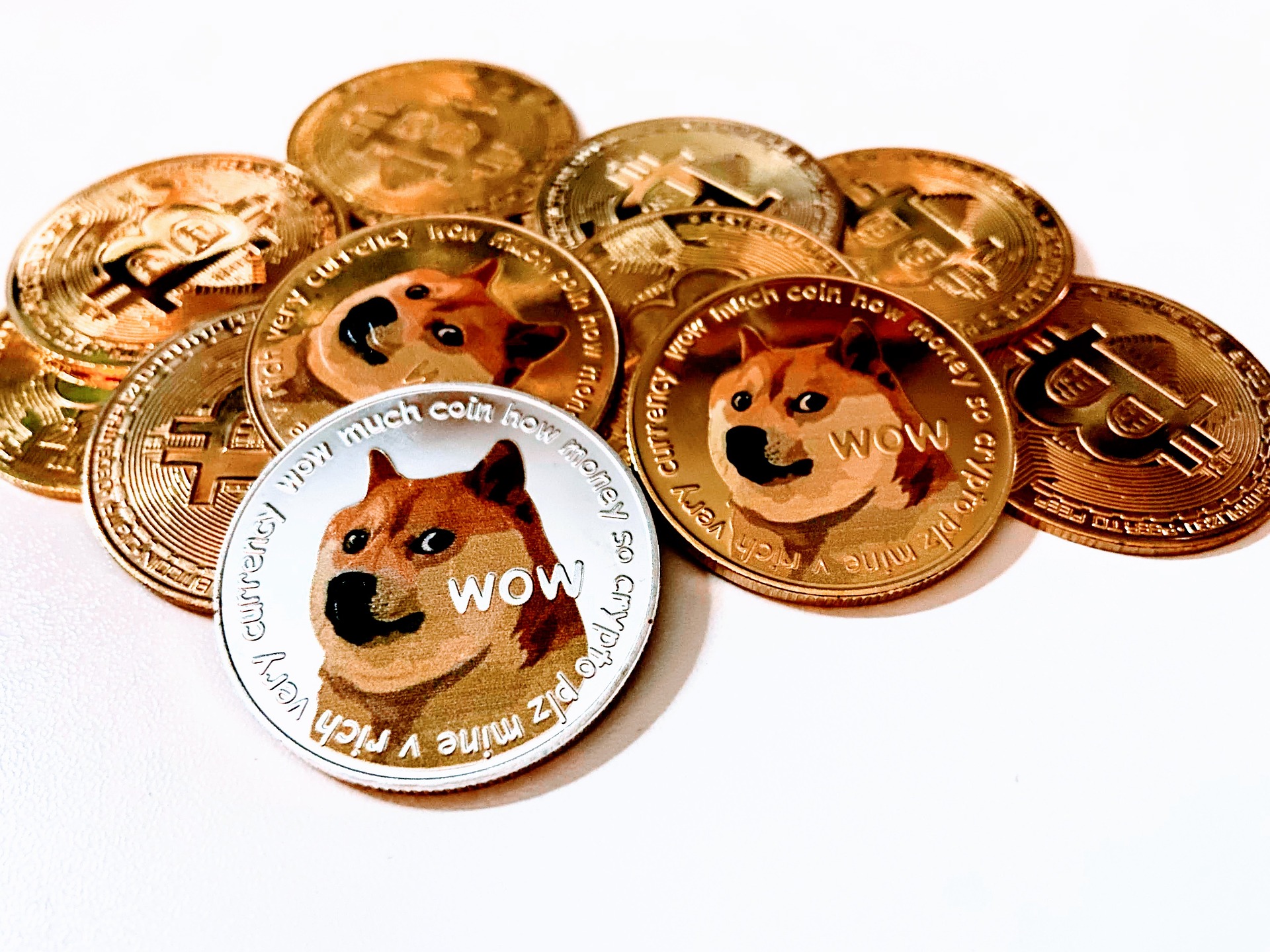 Dogecoin Münzen