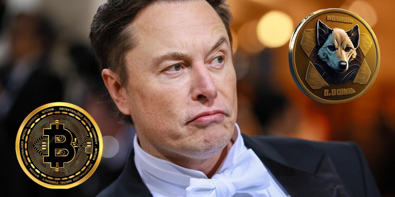 Elon Musk accusé de manipulation du prix du Dogecoin dans une poursuite judiciaire de plusieurs milliards de dollars