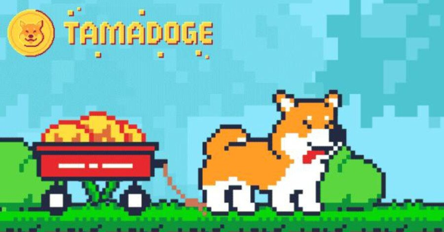 Tamadoge crypto arcade