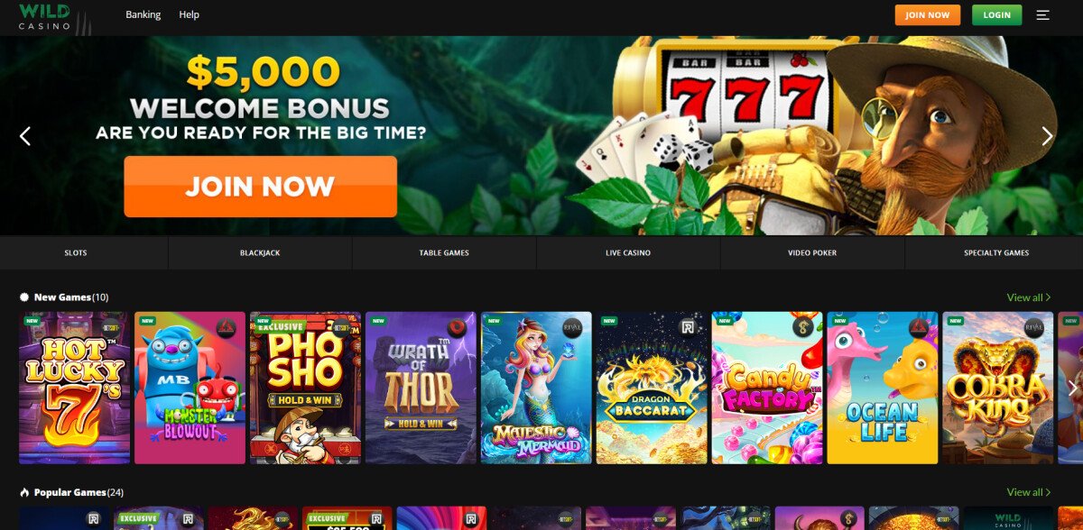 Wild Casino, Bitcoin dice casino