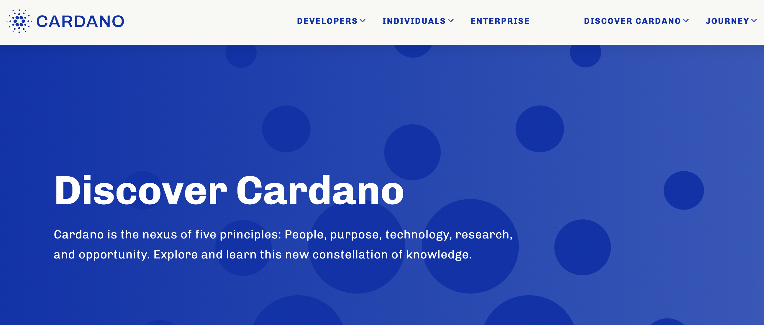 Cardano blockchain home page