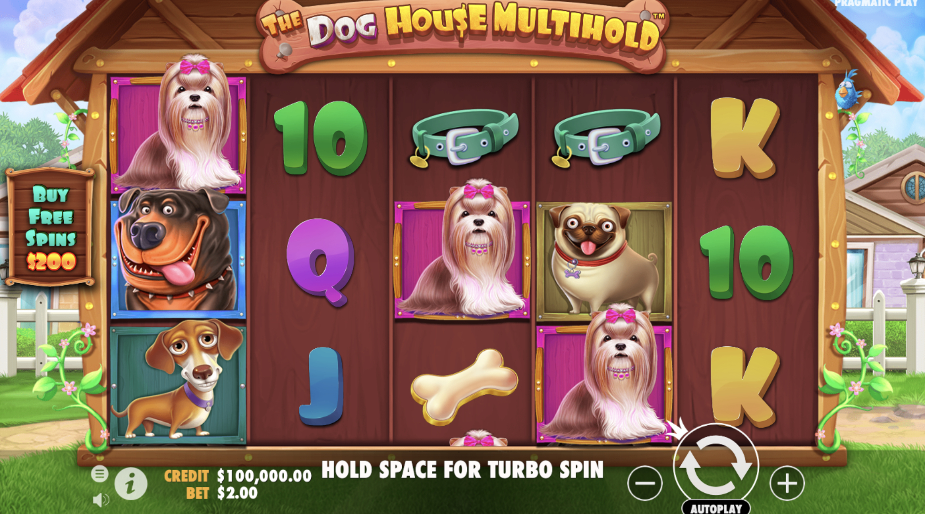 Dog House Multihold Casino Game