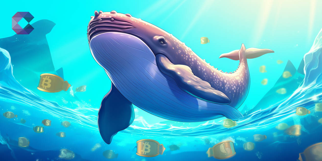 Crypto Whale Pumps, nouveau fournisseur de signaux cryptos, se lance et repère les coins avant qu'ils ne deviennent populaires