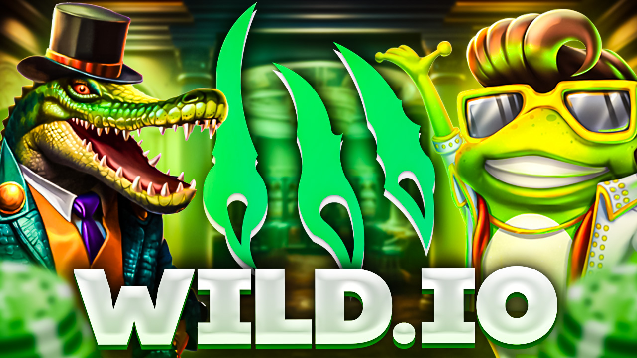 4. Wild.io