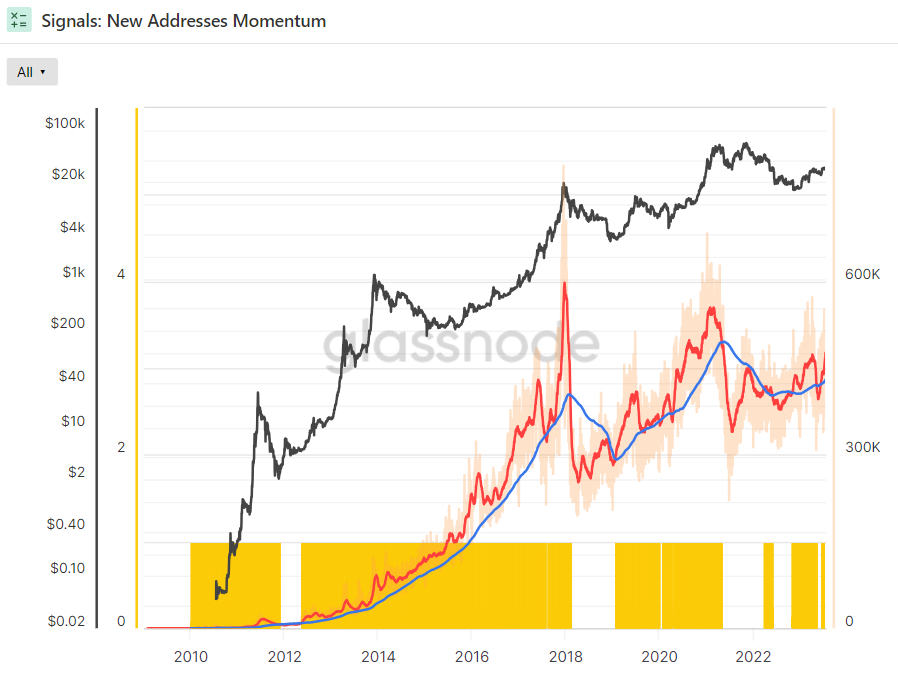 btc new address momentum