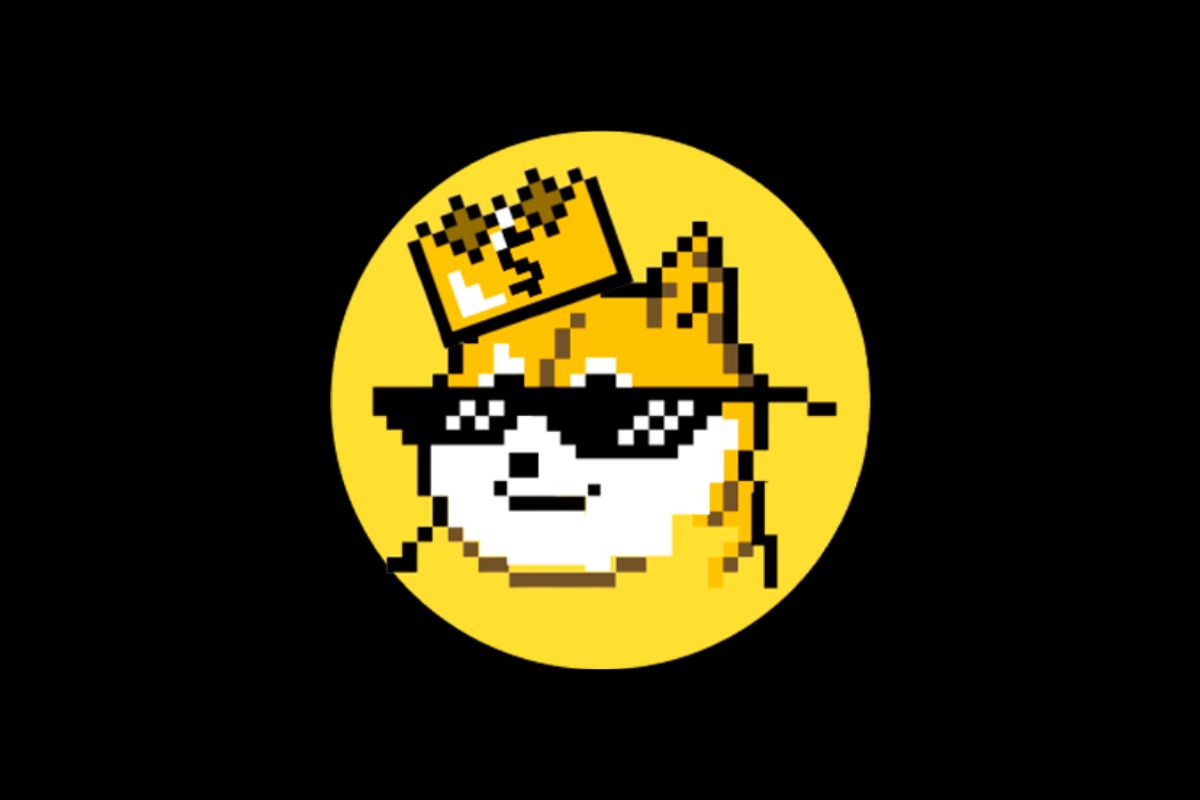 DEAL WITH IT - $DWIT Token. Embrace the best and leave the rest. We are the unstoppable force, deal with it like a boss.