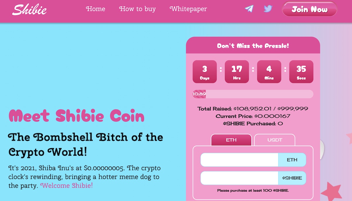Schritt 4: Besuche die $SHIBIE Presale-Website
