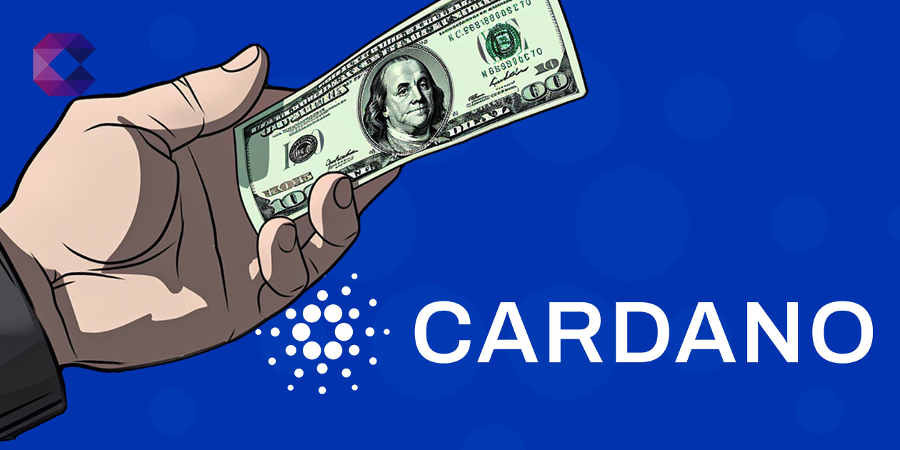 Pourquoi les transactions sur Cardano ont bondi de quasi 50% lors du deuxième trimestre ?