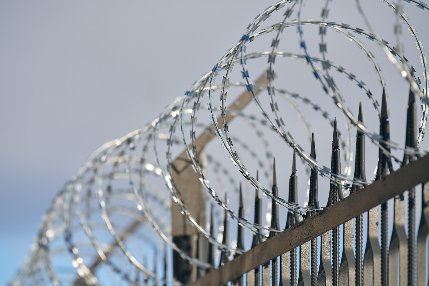 Barbed wire on a prison fence.