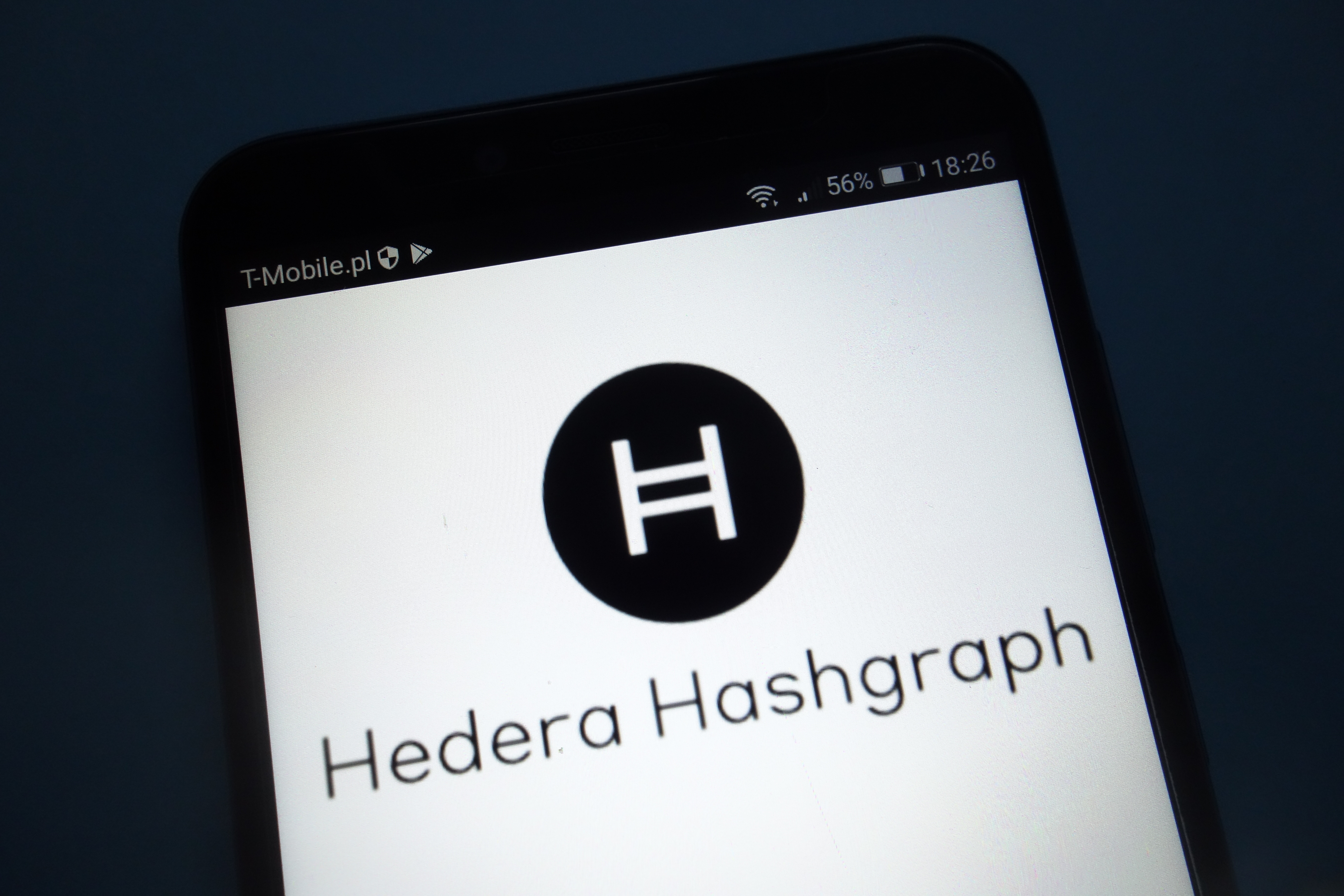 Hedera Hashgraph / 来源：Adobe