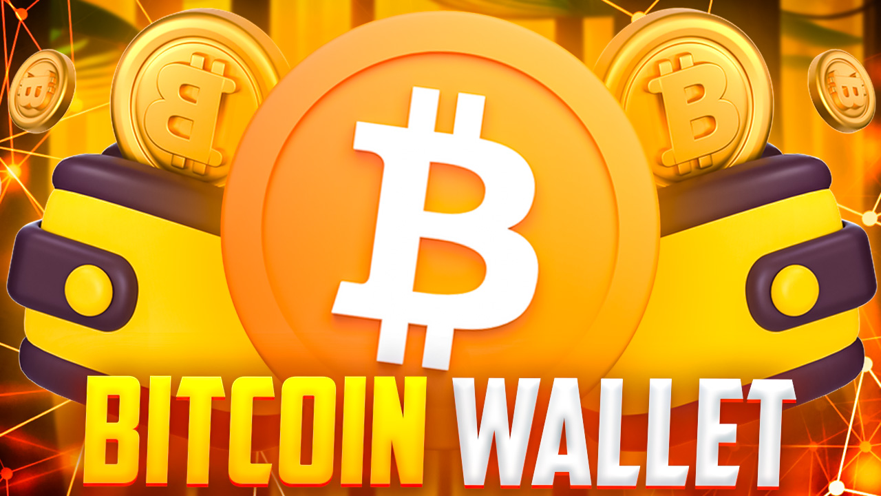 Bitcoin Wallet erstellen 2023 - BTC Wallets im Test