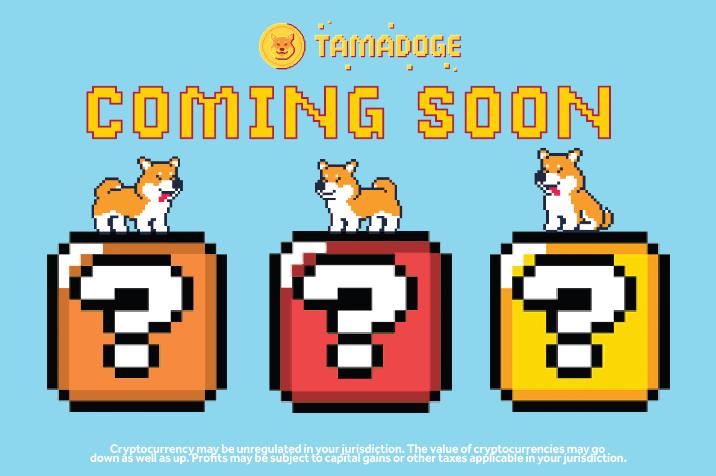Play-to-Earn Meme Coin Tamadoge legt los, um sich Top CEX Listings zu sichern - Staking, Burn Events und Airdrop geplant