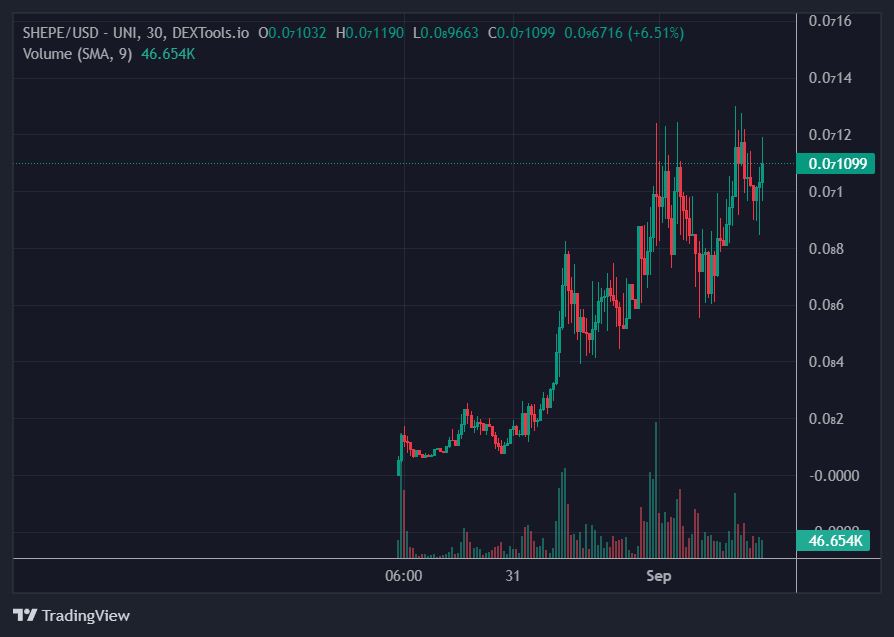 Graphique token SHEPE Août 2023