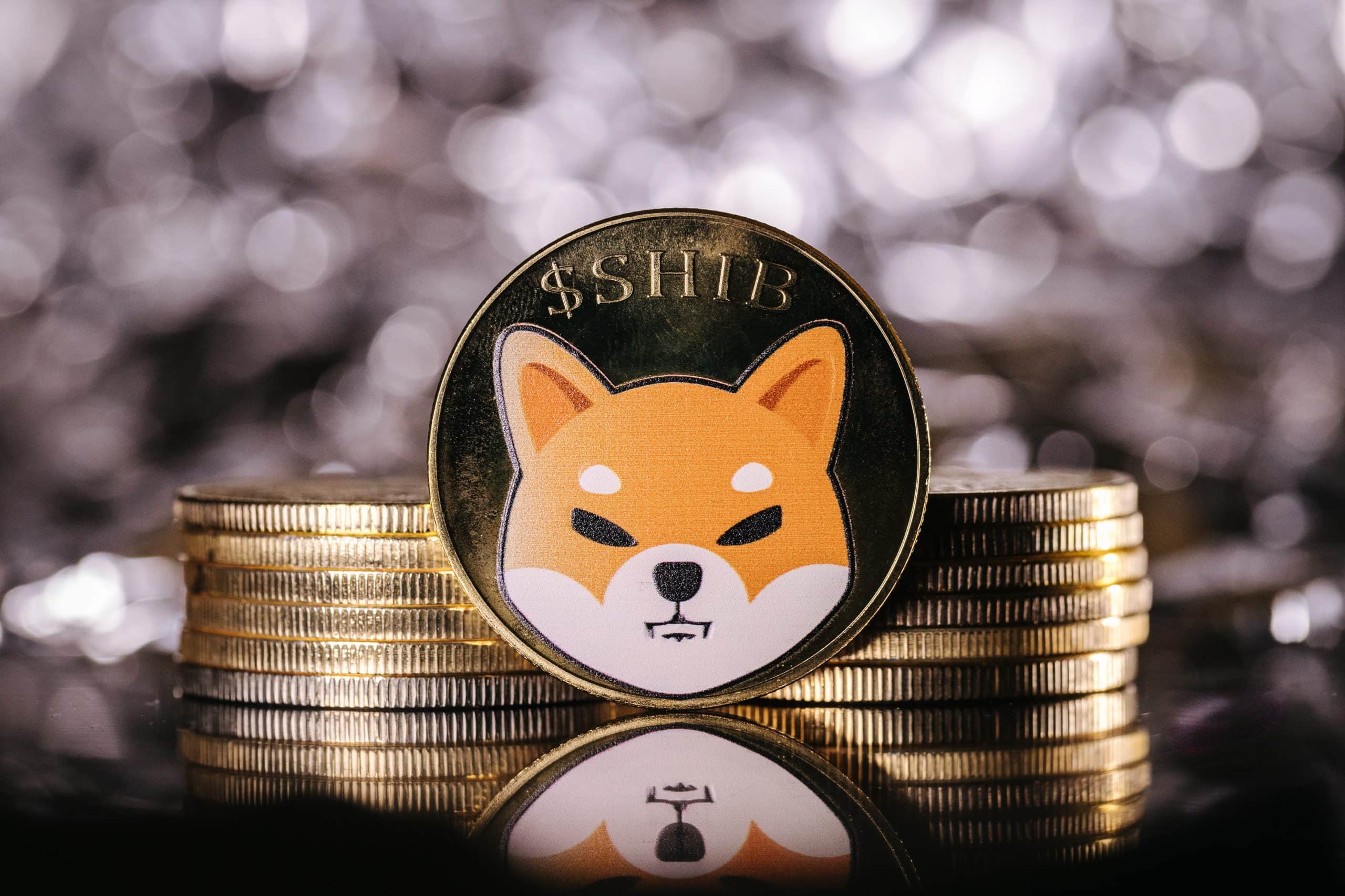 Shiba Inu Coin