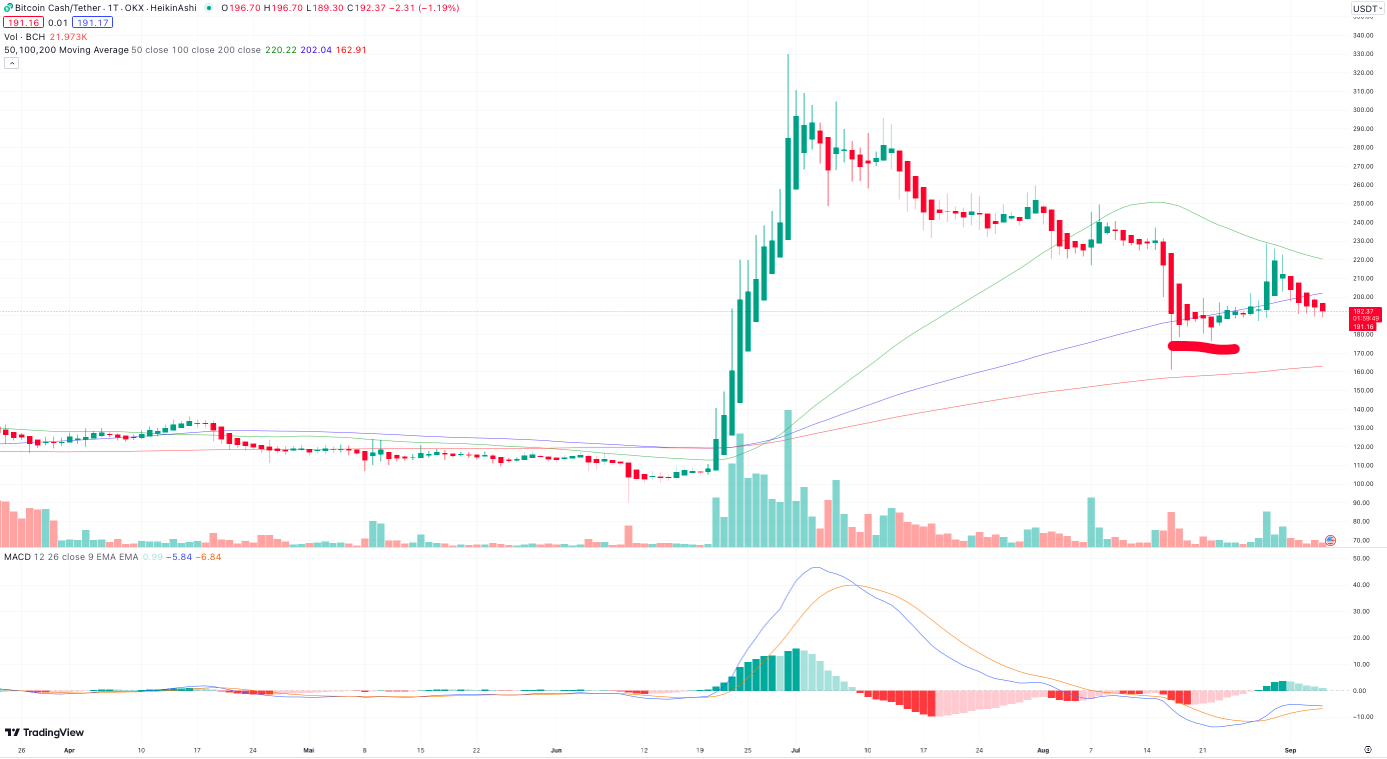 Bitcoin Cash Prognose: Crash-Gefahr nach 100 % Kursrallye, während neue  Bitcoin Alternative startet