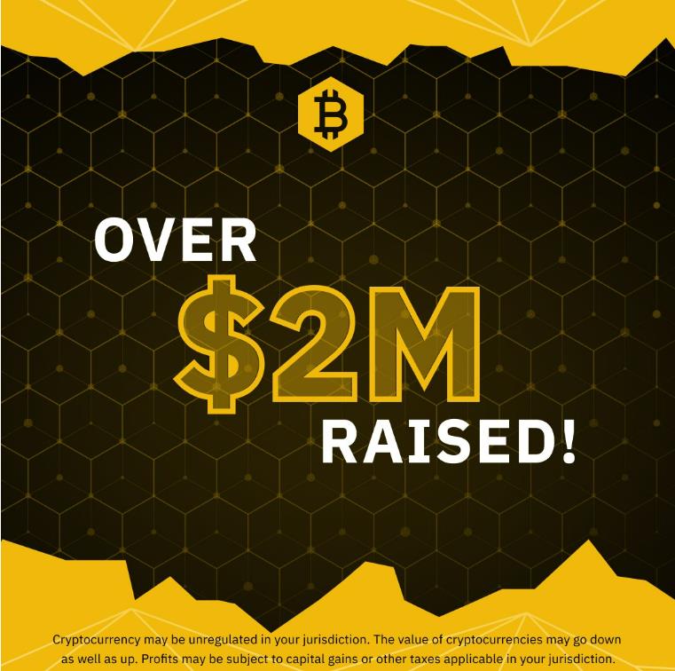 Frühe Bitcoin-Investoren verwandeln $100 in $3 Mio.; Bitcoin BSC sammelt $2 Mio. ein, verkauft sich schnell