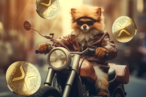 XRP (XRP), THORChain (RUNE), and Pomerdoge (POMD) – Three Cryptos You Do Not Want To Miss Out On