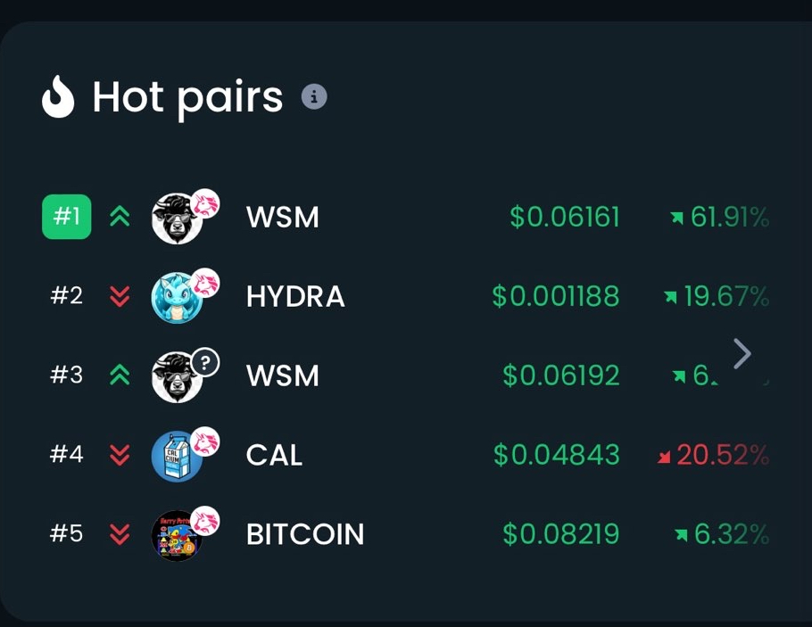 Wsm Hot Pair On Dextools