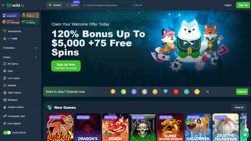 Wild.io Casino Homepage