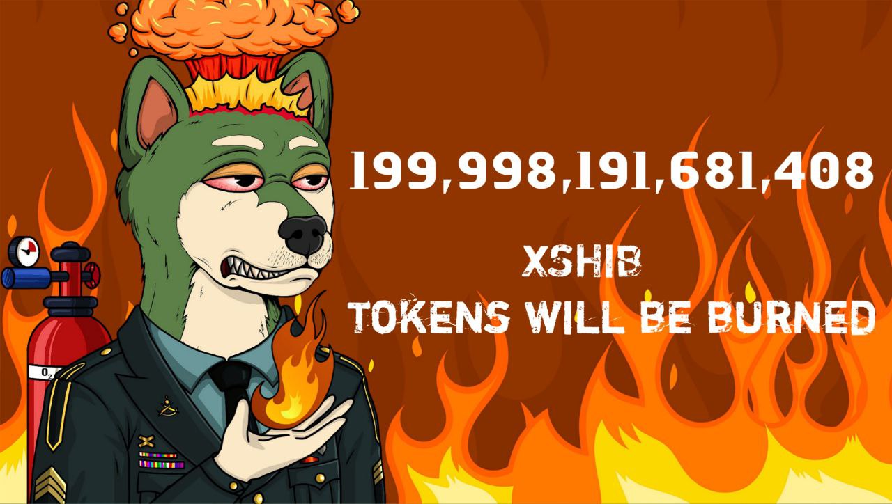 As Viral XSHIB Token Rockets Up 50,000%, and This Other Low Cap Gem is About to Explode – How to Buy Early?