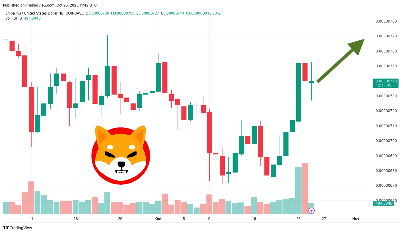 What Makes a Cryptocurrency Explode Like Shiba Inu?